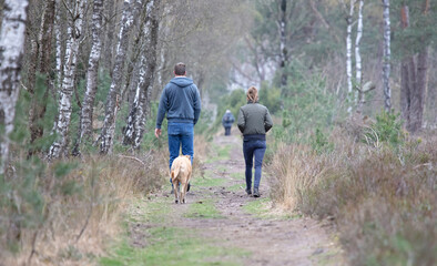 Man and woman walking with their dog in the forest