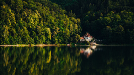 Glorious landscape of a lakehouse in a thick forest reflecting in the water