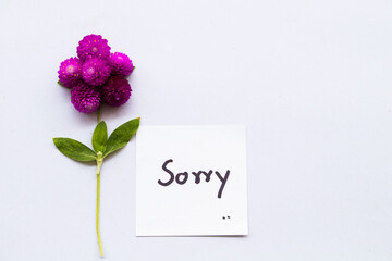 sorry message card handwriting with purple flowers globe amaranth arrangement flat lay postcard style on background white