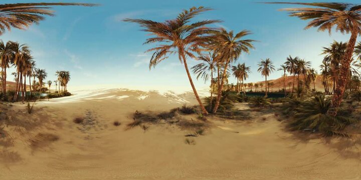 VR360 view of palm oasis in desert