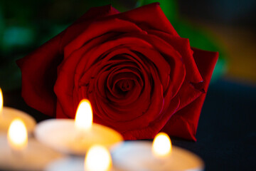 rote Rose mit Kerzen, schwarzer Hintergrund, Trauern