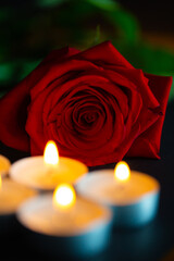 rote Rose mit Kerzen, schwarzer Hintergrund, Trauern