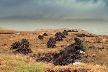 Peat turf bricks piles drying in a bog field. Mountain in the background. Connemara region, Ireland. Traditional fossil fuel. Nature resource of energy.