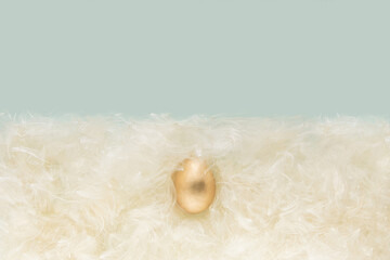 Gold Easter egg on fur made of common milkweed fluffy seed hairs. Natural, spring, Easter festive composition 2021. Flat lay minimal pastel blue and white background.