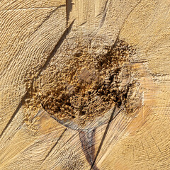 sawn wood texture