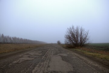 Fototapeta premium road in the fog