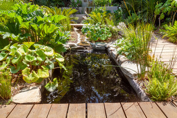 Aménagement d'une zone humide dans un jardin - bassin avec des plantes vertes entouré d'une allée - obrazy, fototapety, plakaty