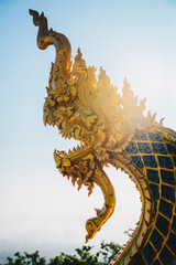 Beautiful Golden naga or Golden dragon big head in front temple entrance with the blue sky and sun shine in asia region