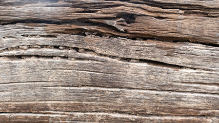 Close up surface of old wood stripe