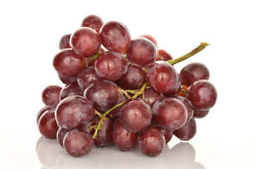 One fresh organic, juicy, ripe, sweet bunch of grapes on a white background.