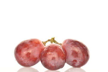 red grape isolated on white background