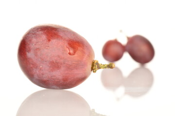 In the foreground, in focus - one, fresh organic, juicy, ripe, sweet grapes, macro, on a white background. In the background are two grapes.
