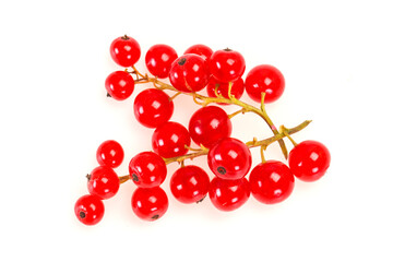 Sweet tasty fresh Red currant