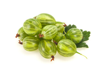 Fresh ripe green sweet gooseberry