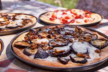 Homemade Italian pizza with eggplant, mushrooms, tomato, cheese and ham in the plate on tile table in the garden. Selective focus.
