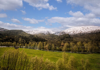 Fototapeta na wymiar Norway with landscape during spring time. Railroad from Flam to Myrdal in Norway