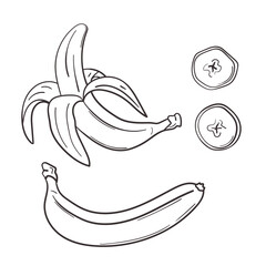 Fresh banana whole, peeled, in parts in hand drawn doodle style. Set of vector illustrations isolated on white background.
