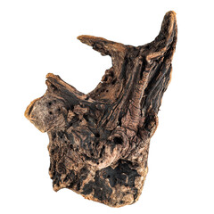 Driftwood texture piece of wood isolated