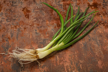 Young fresh tasty green onion