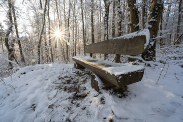 bench in sunny winter day
