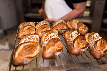 baker with bread on wooden shovel coming out of the over in bakery shop. bread bakery concept with warm colors and wood peel