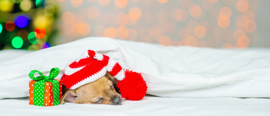 A small red toy terrier puppy is sleeping with his head on a pillow in a santa hat under a white blanket against the background of a Christmas tree next to a small gift
