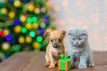 Fototapeta na wymiar Couple of kitten and puppy on the background of a christmas tree
