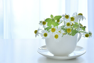 カモミールの花　カーテン
