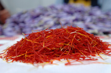 Naklejka premium Sardinian saffron called zafferano di San Gavino typical product of Sardinia Island