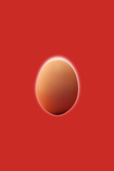 卵-5