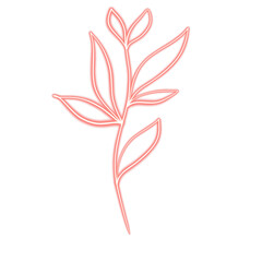 Raster leaf. Floral illustration on white background. Botanical image can be used for wedding invitation, design template, greeting card, patterns fill.