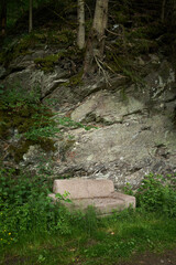 Sofa in forest || Wanderlust