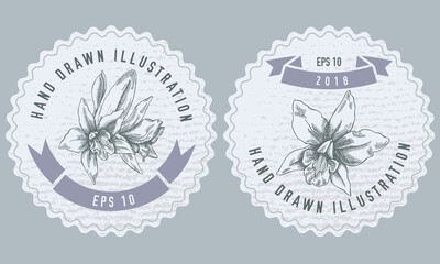 Monochrome labels design with illustration of laelia