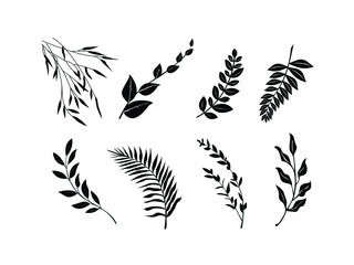 leaves Icon Vector illustration. Nature Leaf decorative symbol. Tropical Leaves of trees and plants sign, emblem isolated on white background, Flat style for graphic and web design, logo. EPS10 black