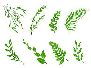 leaves Icon Vector illustration. Nature Leaf decorative symbol. Tropical Leaves of trees and plants sign, emblem isolated on white background, Flat style for graphic and web design, logo. EPS10 green