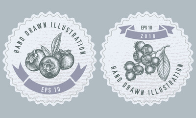Monochrome labels design with illustration of blueberry