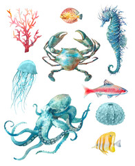 Watercolor sea animals poster: crab, octopus, jelly fish, coral and seahorse. Blue and red nautical creatures isolated on white background. Underwater clipart © ldinka