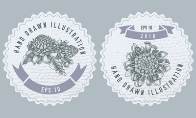Monochrome labels design with illustration of etlingera