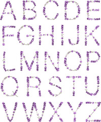 English alphabet in the form of lavender sprigs in bright purple flowers