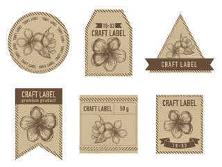 Craft labels vintage design with illustration of sakura flowers © Sad