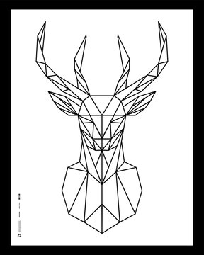 Abstract polygonal the head of a deer. Geometric linear animal © Visualroom