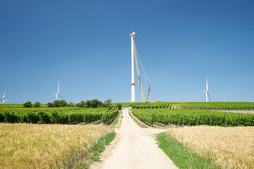 Windräder || Rheinhessen