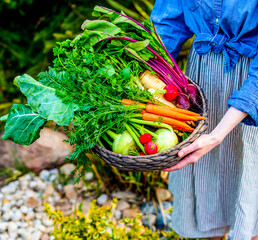 Woman holds a basket with vegetables in garden