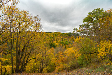Herbst Rheinhessen || Wanderlust