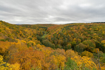 Herbst Rheinhessen || Wanderlust