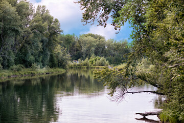 A beautiful landscape of the river surrounded by trees on a sunny summer day under blue sky.