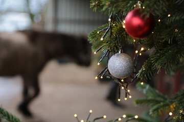 Weihnachtskugel am Tannenbaum und eine Lichterkette