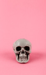 Skull on pastel pink background. Creative Halloween minimal concept. Remember that you will die.