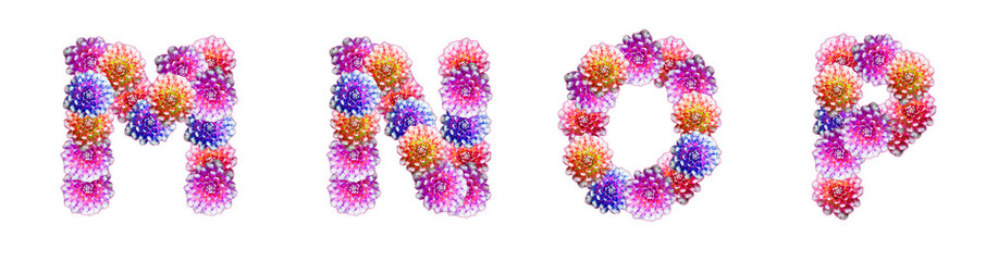 Letters M, N, O, P made of peony flowers