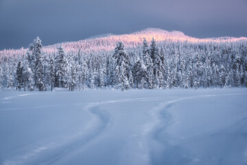 Mount Kivakka in Paanajärvi National Park in the last rays of the sun.